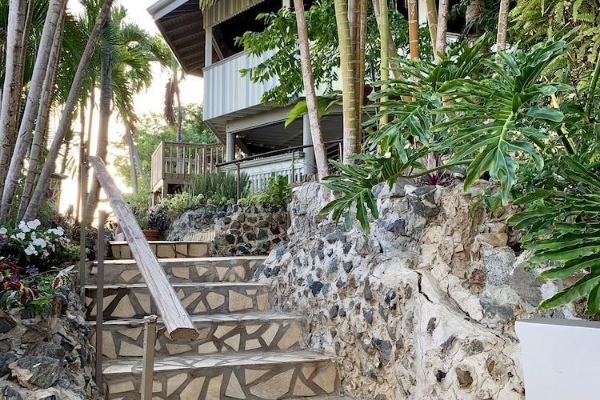 The Lazy Parrot Inn (Rincón)